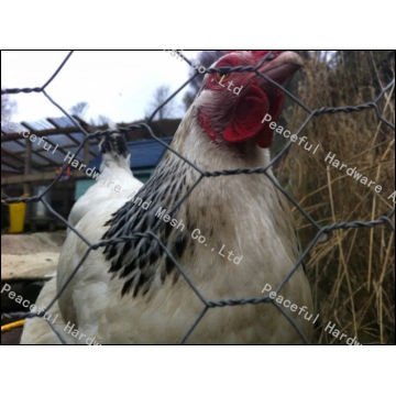 Hot Sale 1/2′′ Chicken Wire